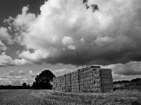 Ergens in Groot Britanie, on the road